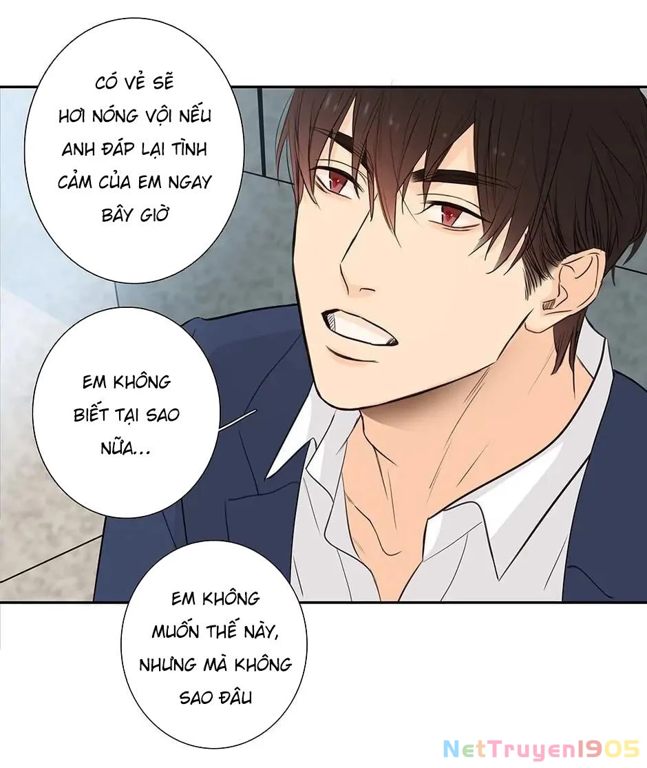 Đừng Chạm Vào Tim Tôi Chapter 42 - 4