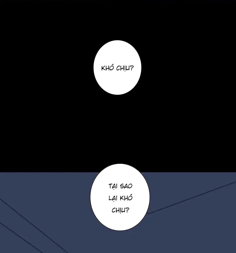 Đừng Chạm Vào Tim Tôi Chapter 42 - 12