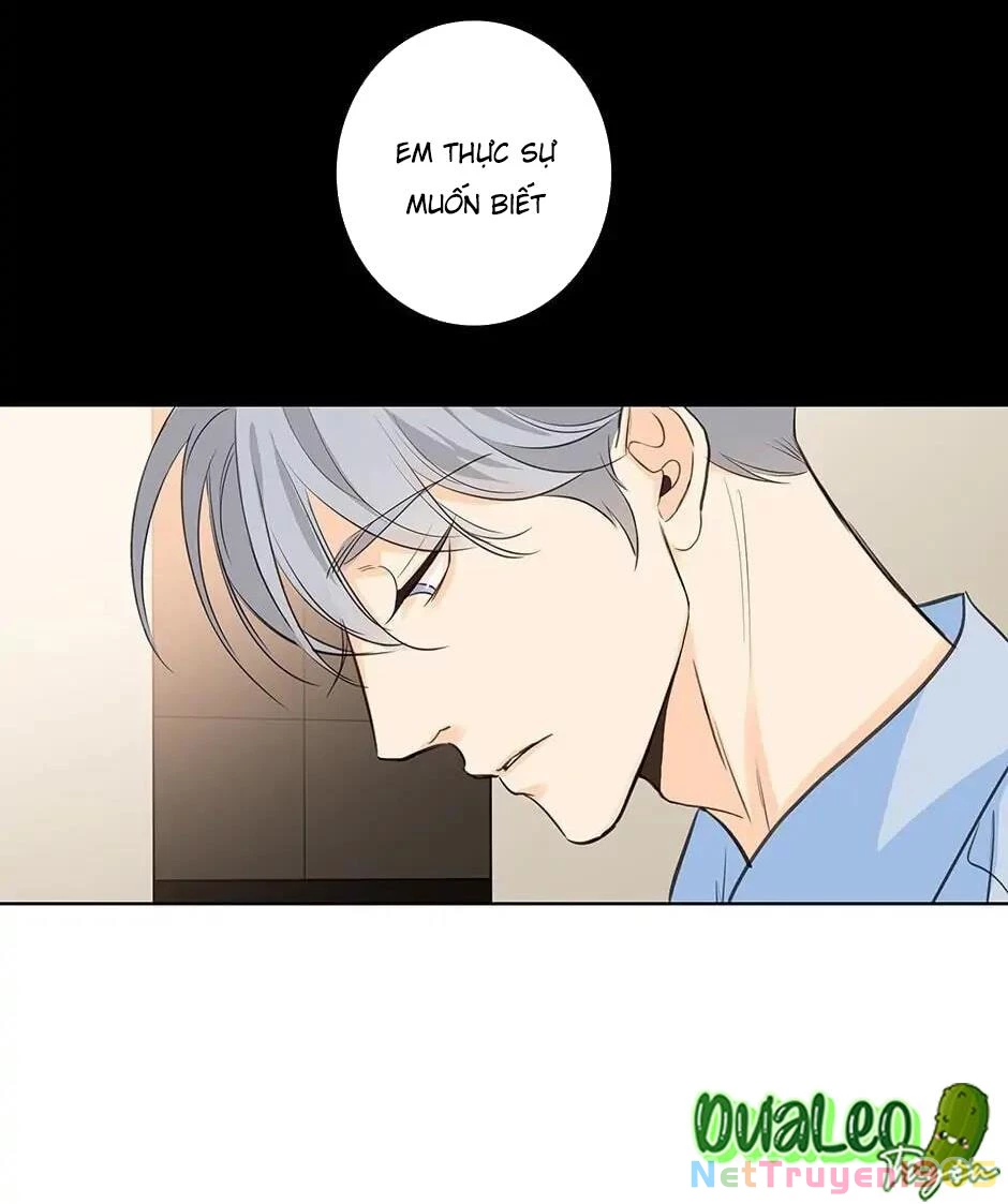 Đừng Chạm Vào Tim Tôi Chapter 43 - 16