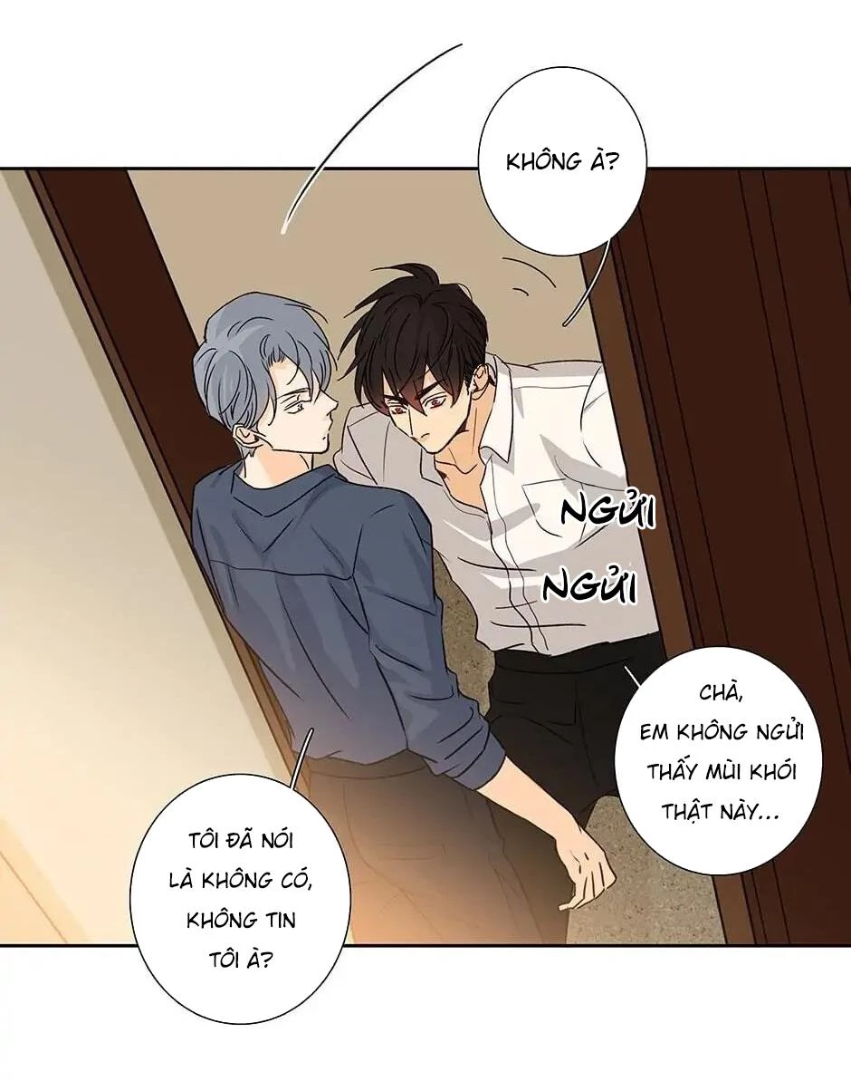 Đừng Chạm Vào Tim Tôi Chapter 44 - 25