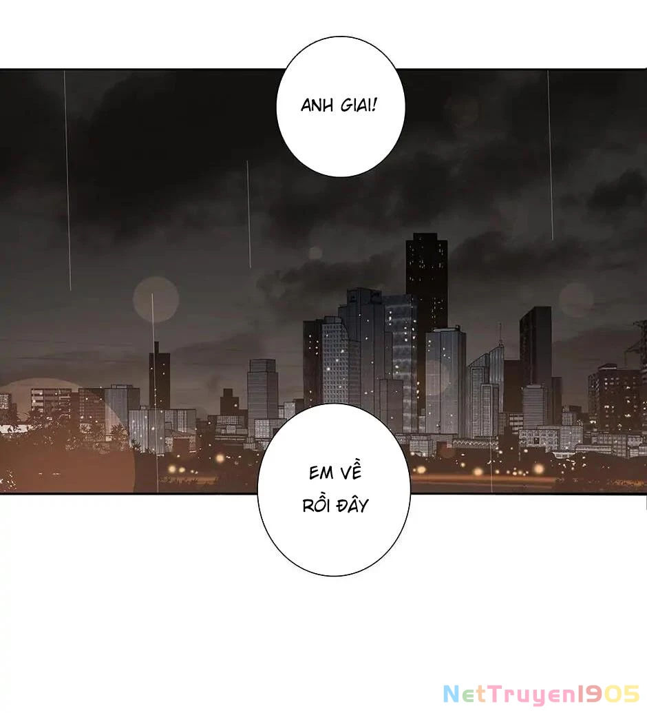 Đừng Chạm Vào Tim Tôi Chapter 45 - 2