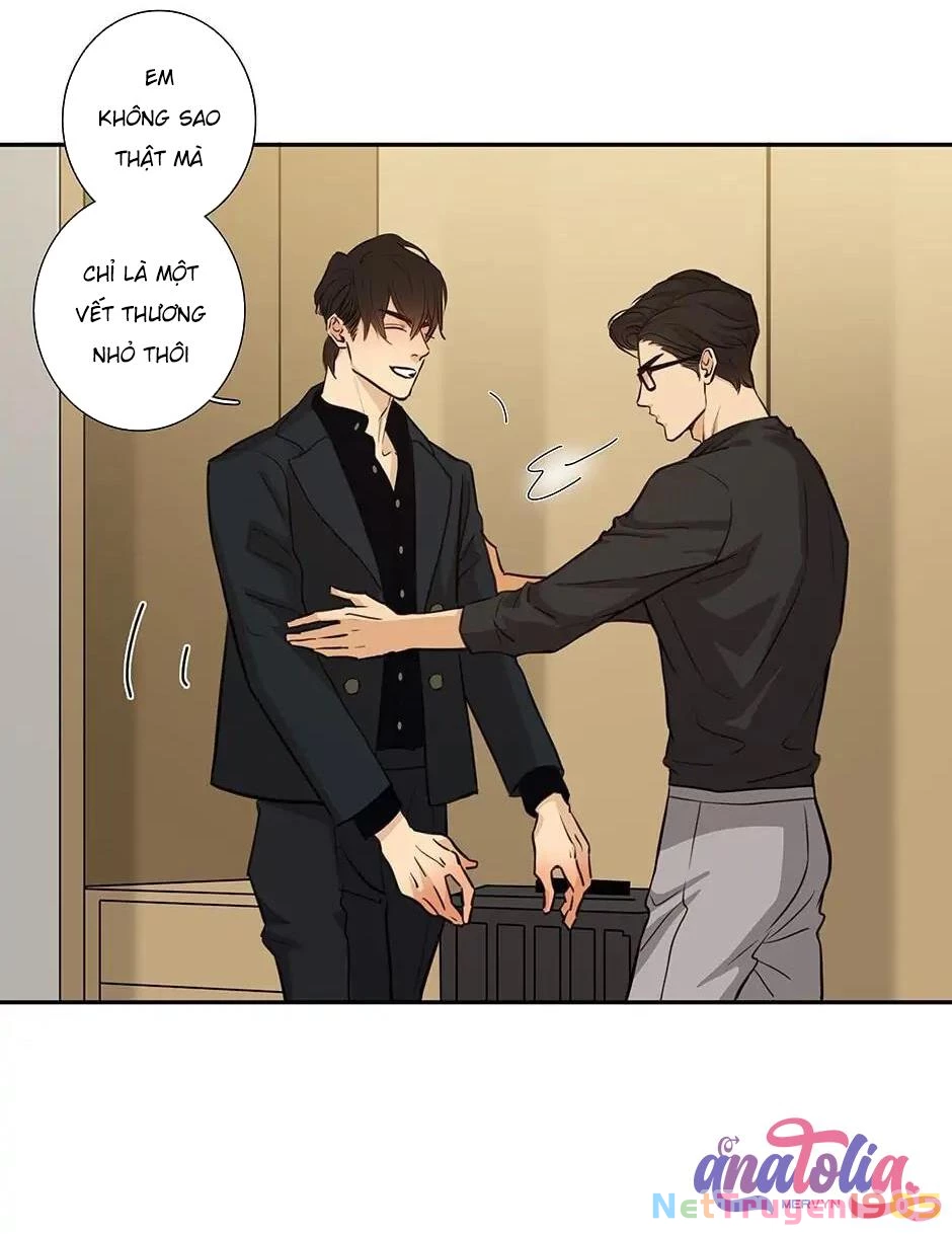 Đừng Chạm Vào Tim Tôi Chapter 45 - 4