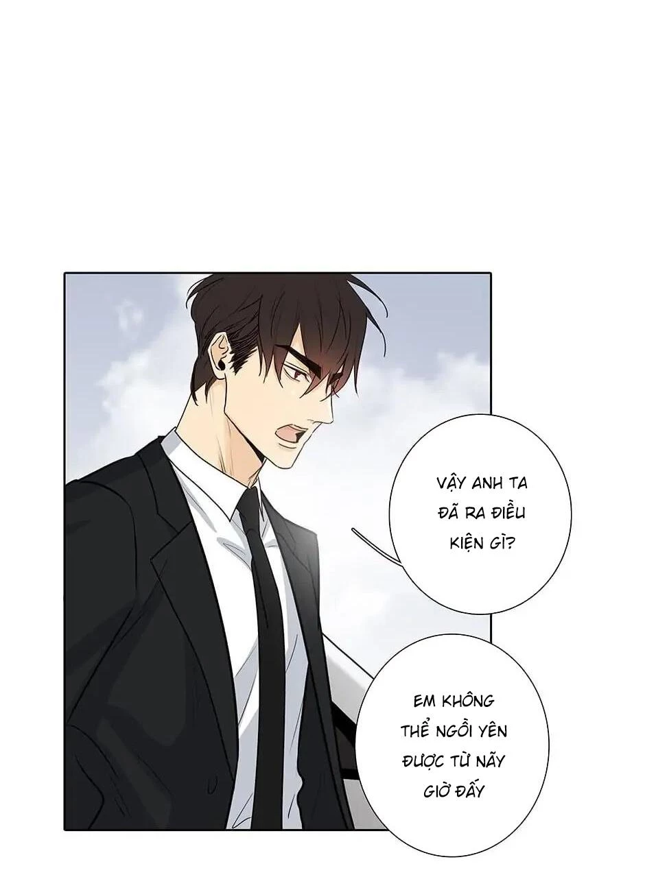 Đừng Chạm Vào Tim Tôi Chapter 46 - 28
