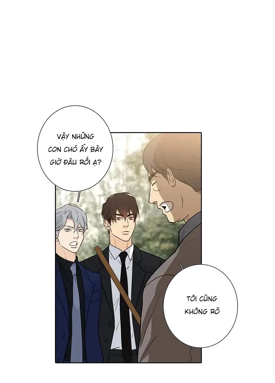 Đừng Chạm Vào Tim Tôi Chapter 46 - 33