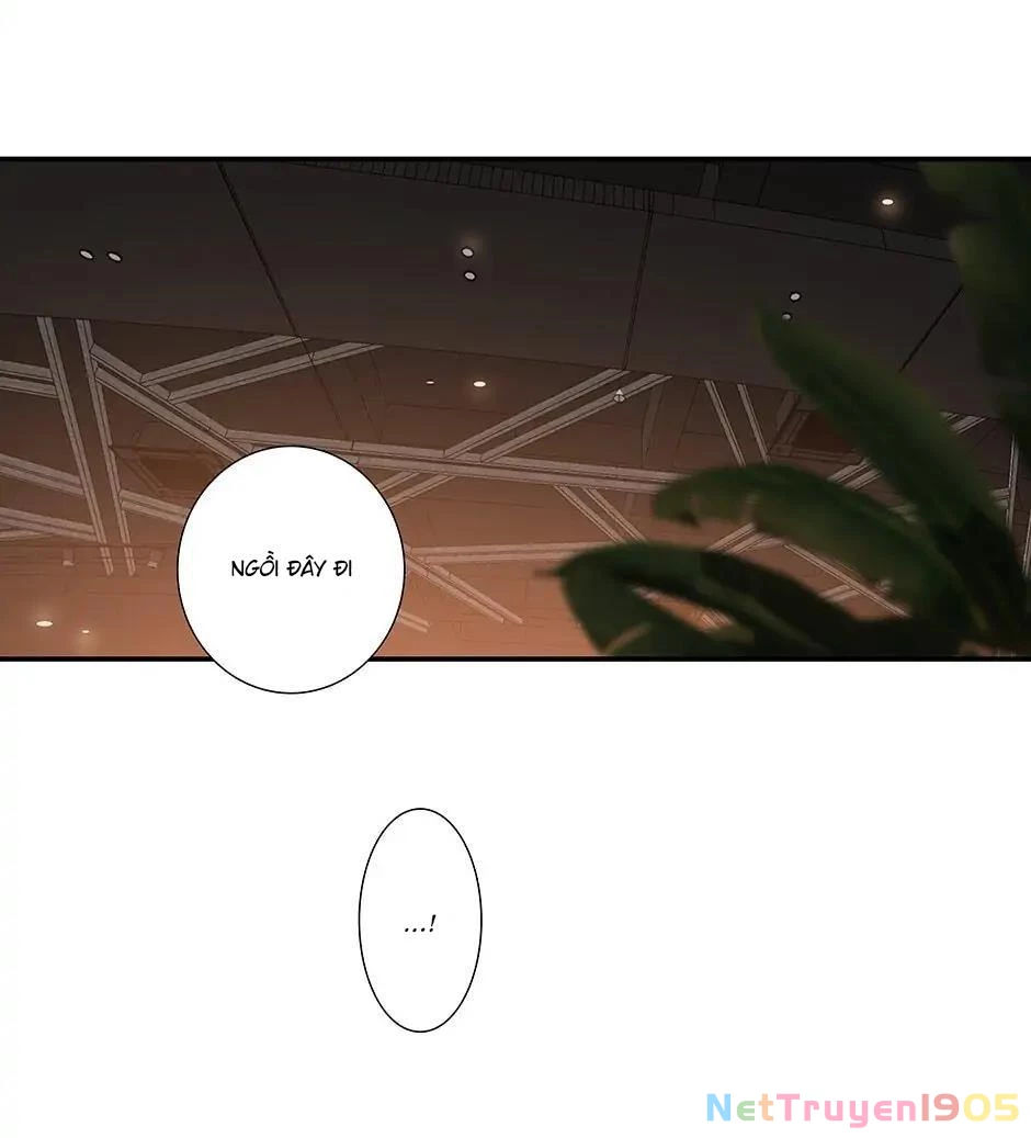 Đừng Chạm Vào Tim Tôi Chapter 49 - 11