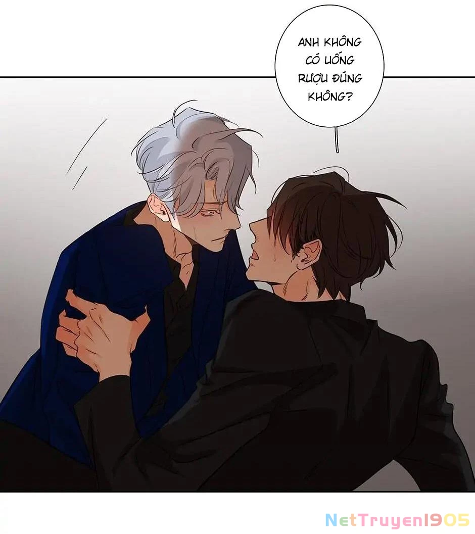 Đừng Chạm Vào Tim Tôi Chapter 51 - 13