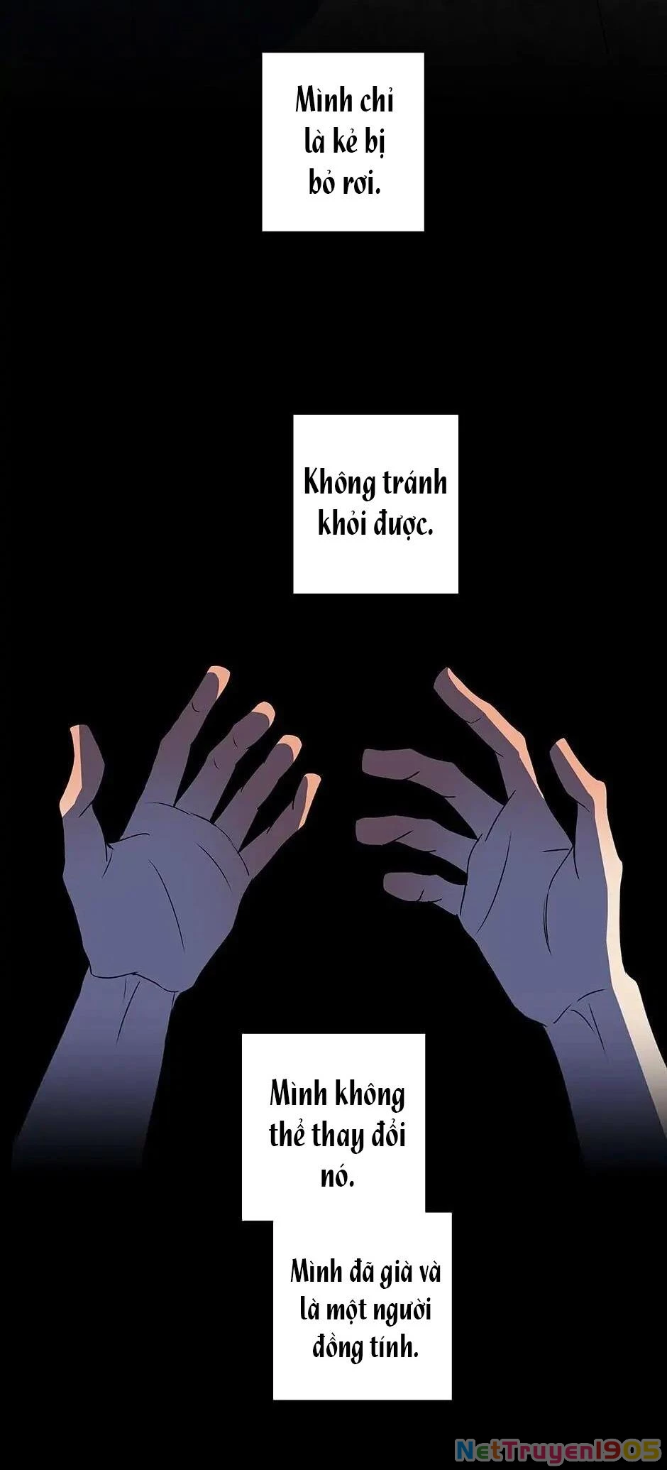 Đừng Chạm Vào Tim Tôi Chapter 52 - 17