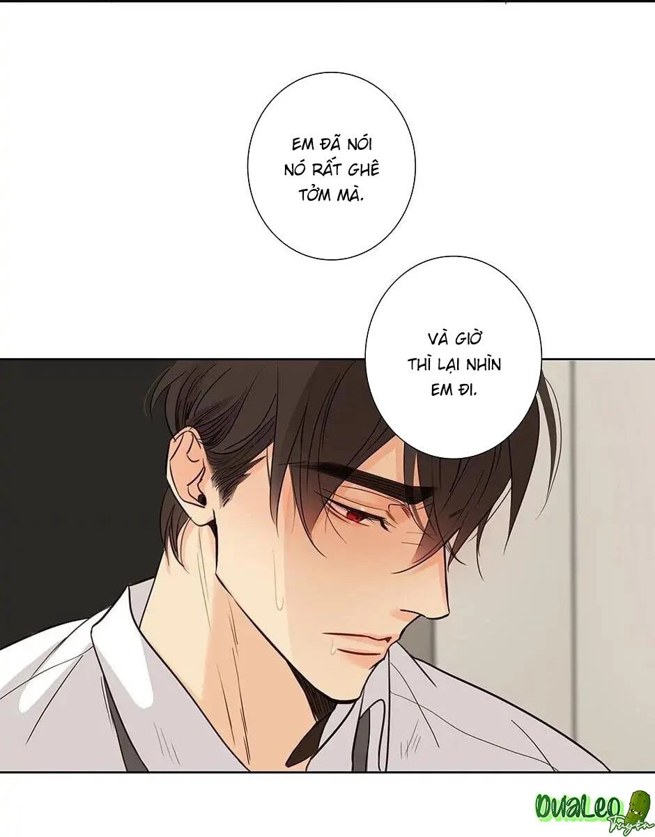 Đừng Chạm Vào Tim Tôi Chapter 56 - 15