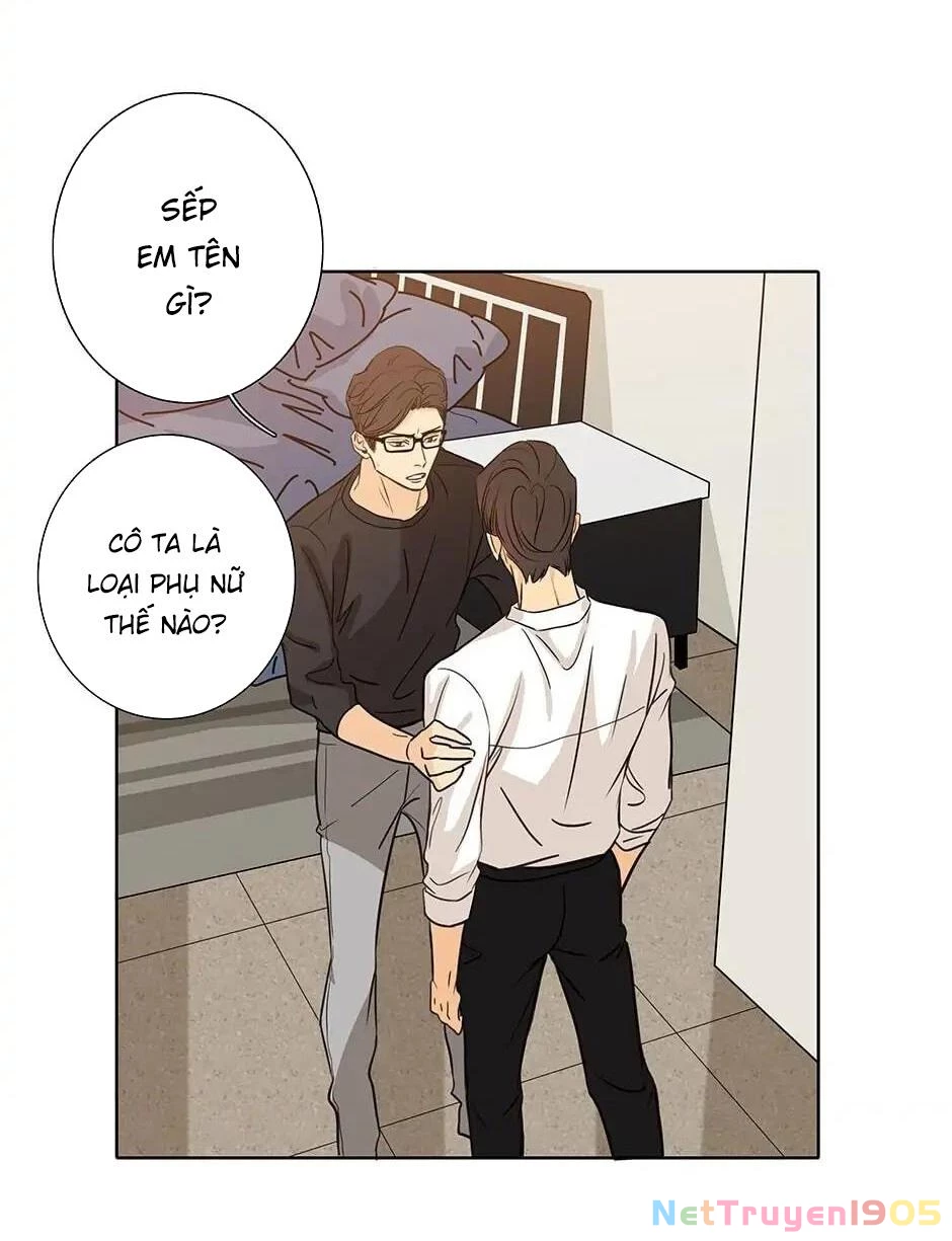 Đừng Chạm Vào Tim Tôi Chapter 56 - 16