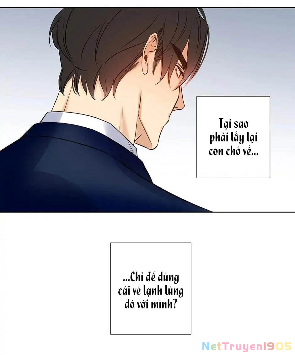 Đừng Chạm Vào Tim Tôi Chapter 60 - 29