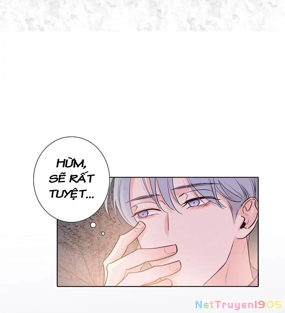 Đừng Chạm Vào Tim Tôi Chapter 67 - 34