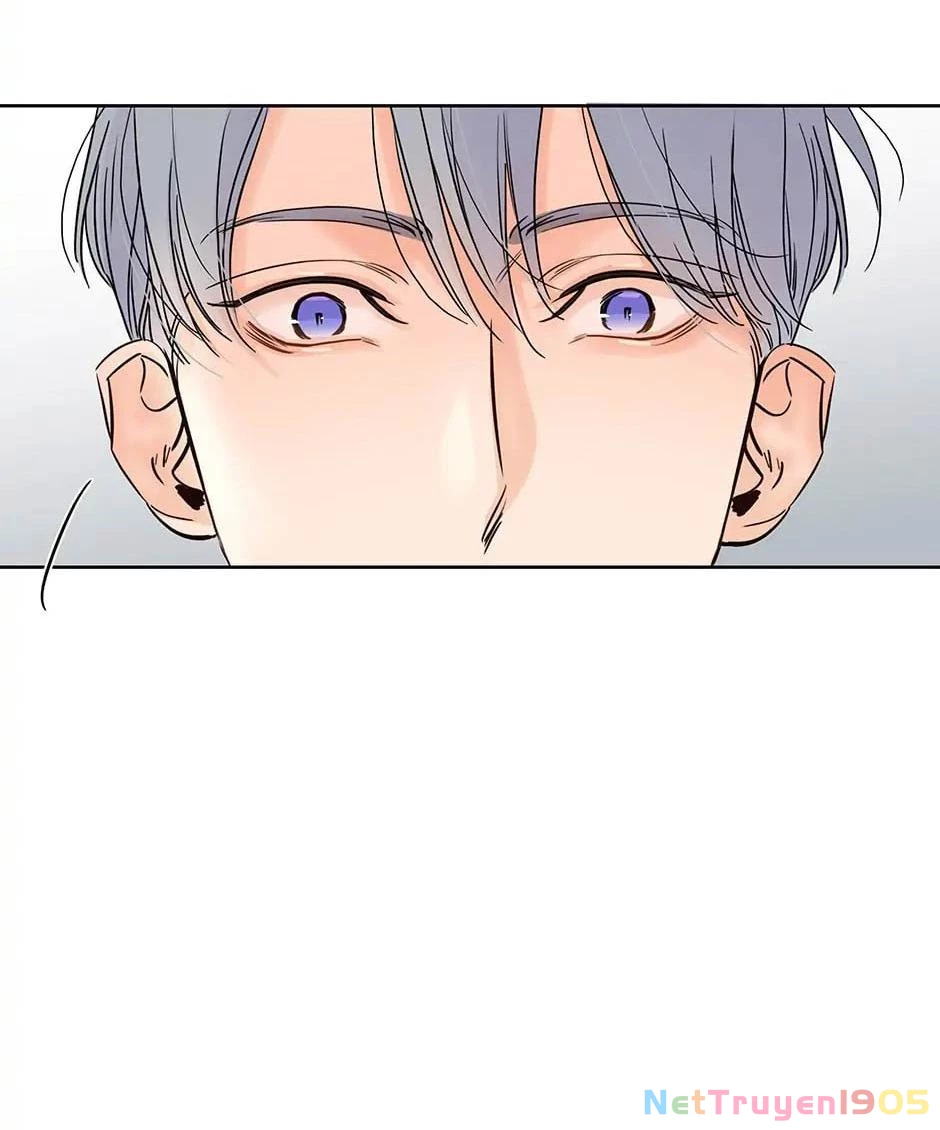 Đừng Chạm Vào Tim Tôi Chapter 70 - 21