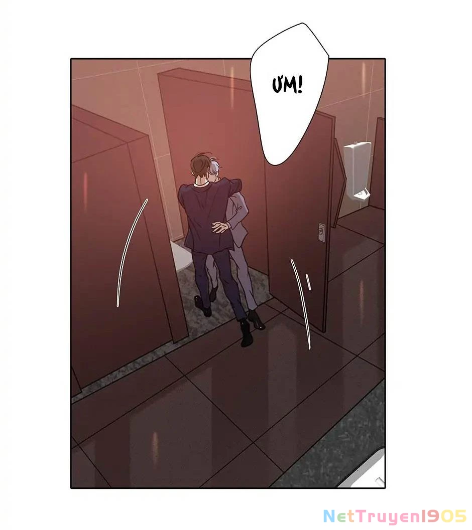 Đừng Chạm Vào Tim Tôi Chapter 71 - 3