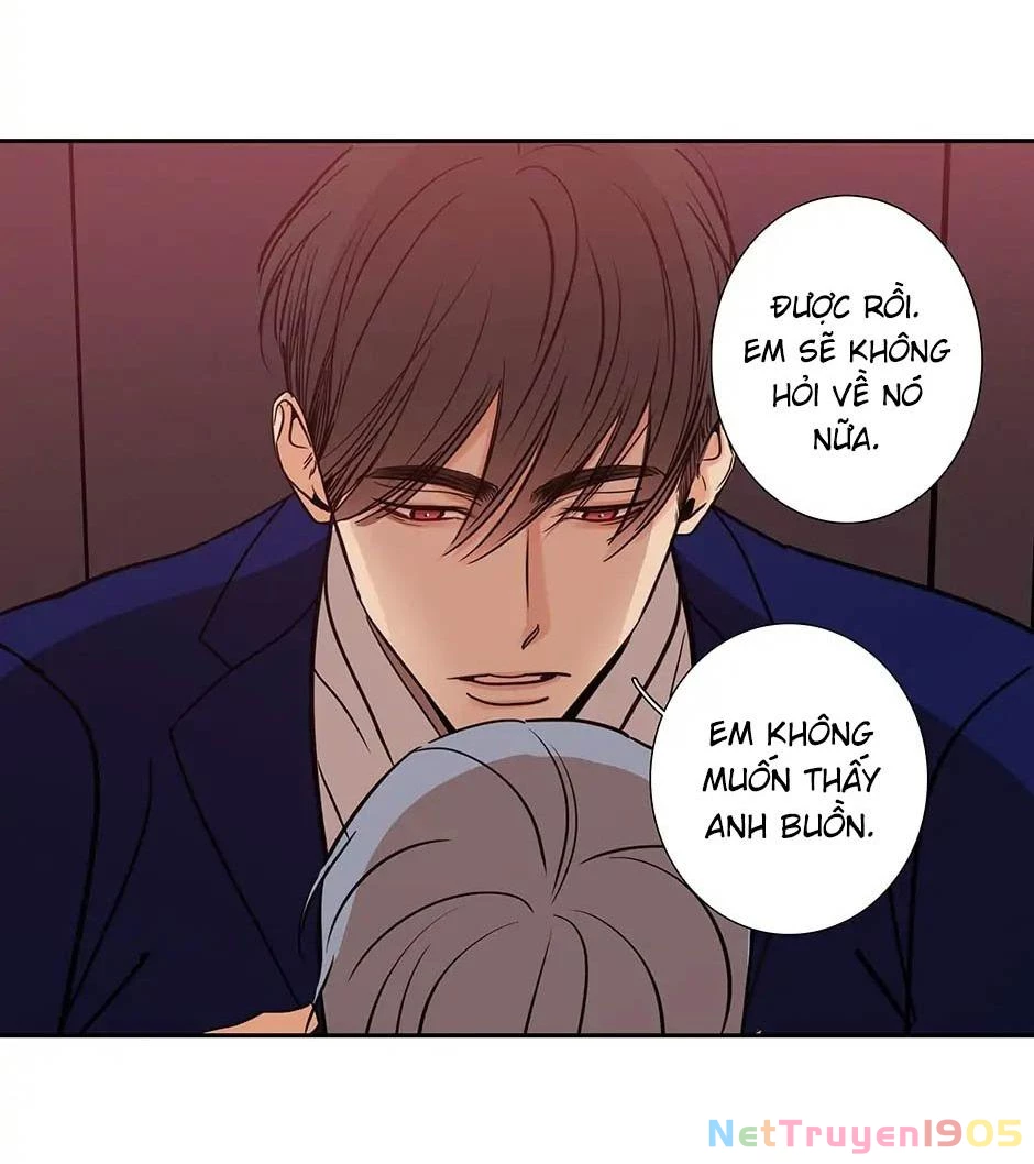 Đừng Chạm Vào Tim Tôi Chapter 71 - 12