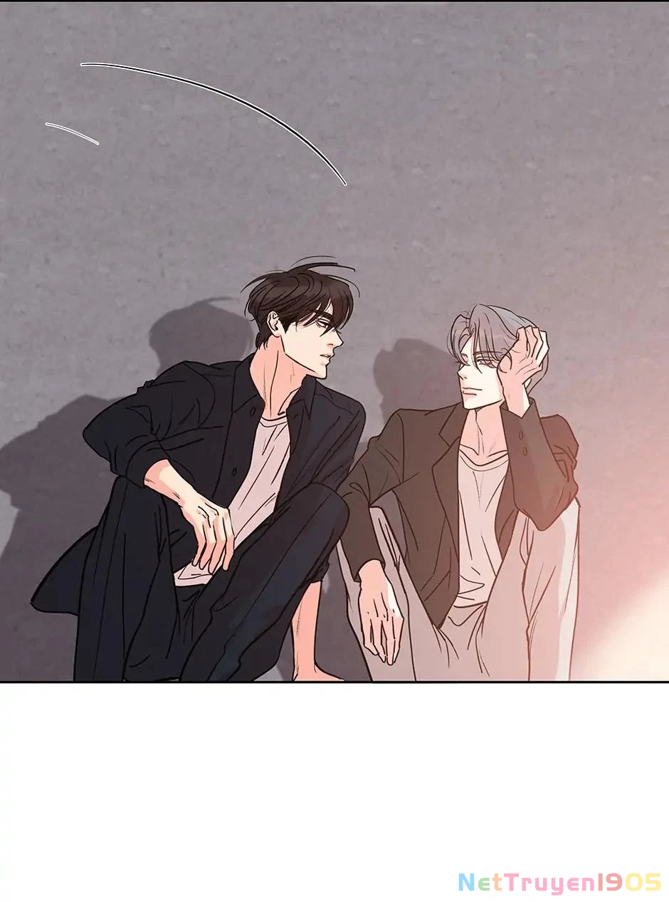 Đừng Chạm Vào Tim Tôi Chapter 75 - 4