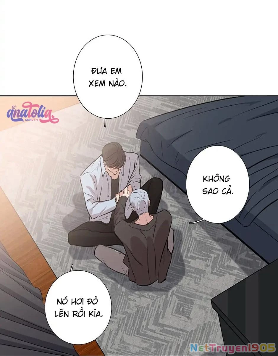 Đừng Chạm Vào Tim Tôi Chapter 78 - 14