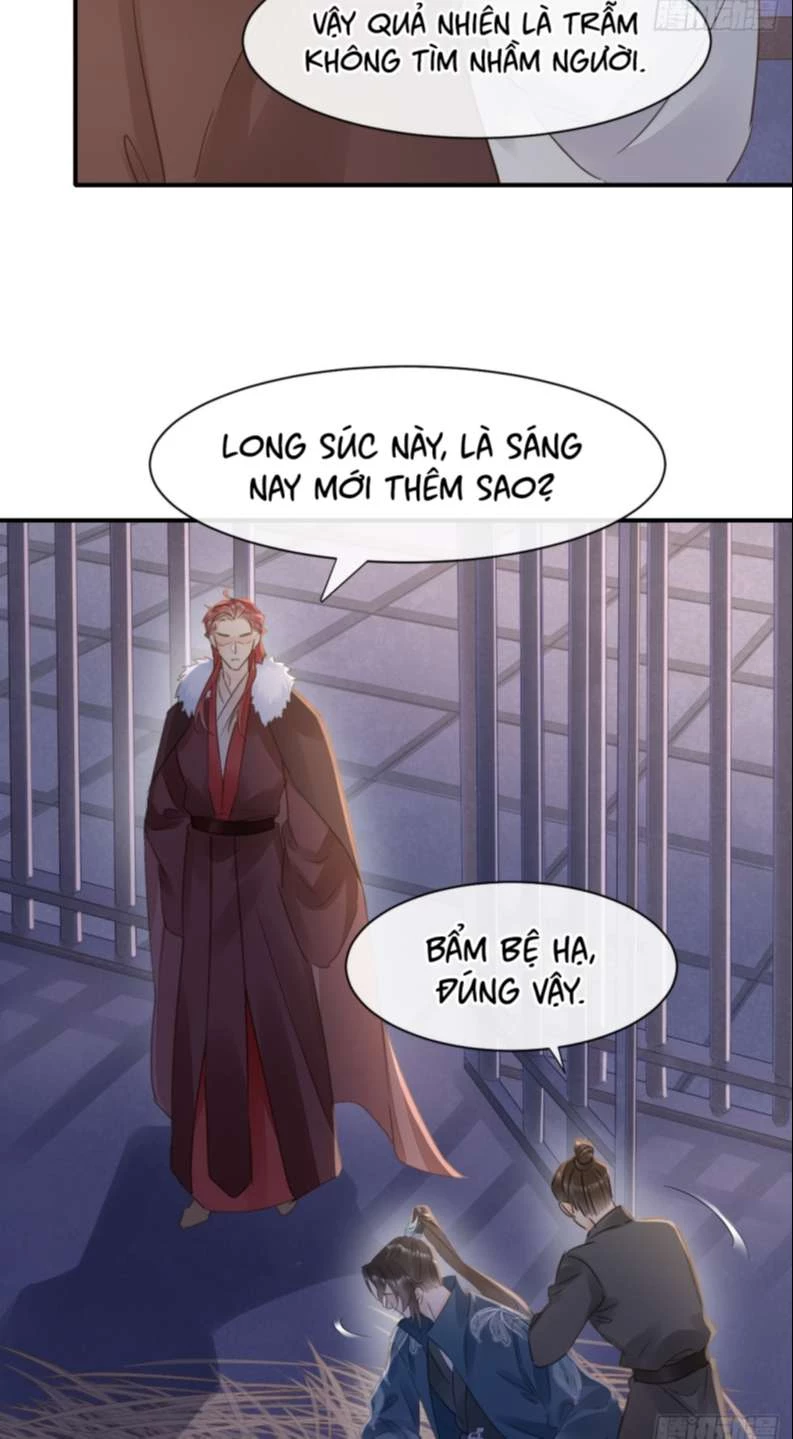 Tù Long Chapter 106 - 29