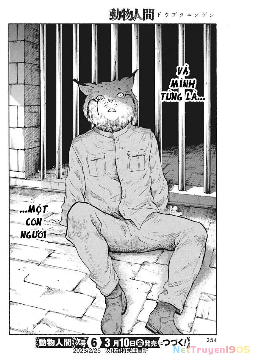Animan Chapter 2 - 33