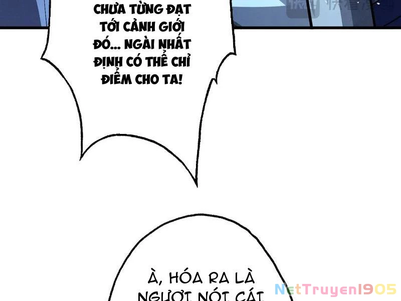 Gặp Mạnh Thì Mạnh, Ta Tu Vi Vô Thượng Hạn Chapter 73 - 14