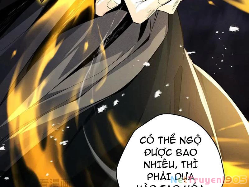 Gặp Mạnh Thì Mạnh, Ta Tu Vi Vô Thượng Hạn Chapter 73 - 55