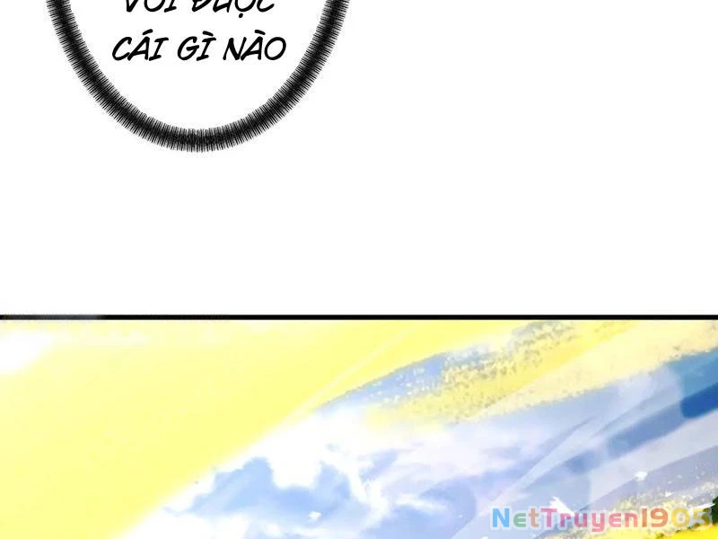 Gặp Mạnh Thì Mạnh, Ta Tu Vi Vô Thượng Hạn Chapter 73 - 61