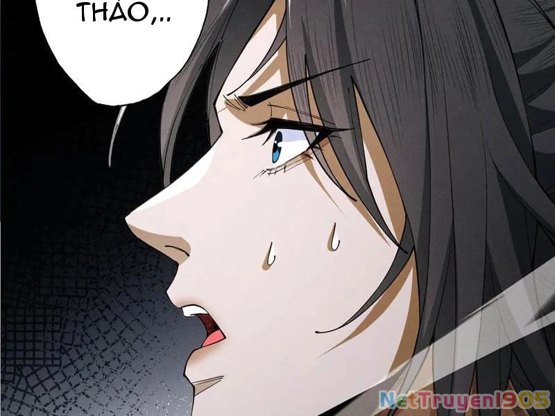 Gặp Mạnh Thì Mạnh, Ta Tu Vi Vô Thượng Hạn Chapter 73 - 92