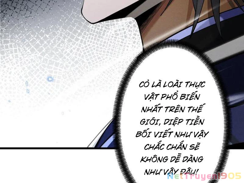Gặp Mạnh Thì Mạnh, Ta Tu Vi Vô Thượng Hạn Chapter 73 - 93