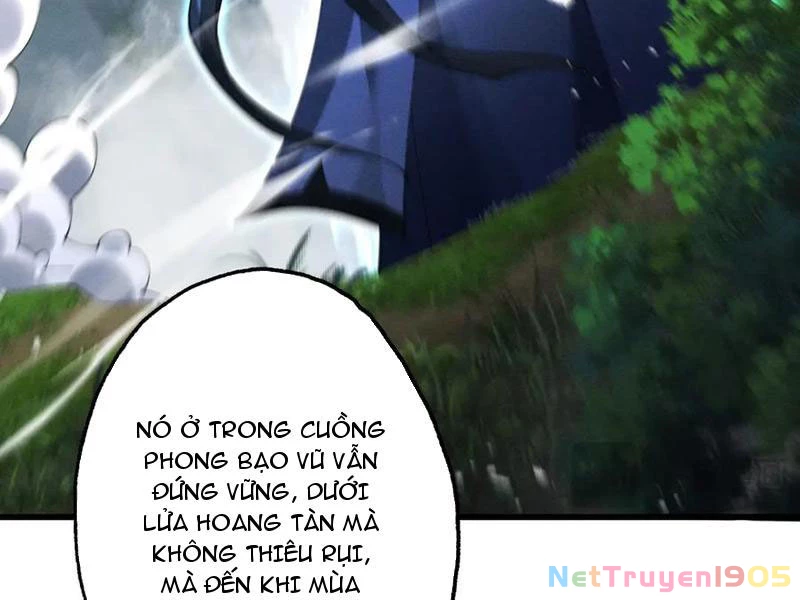 Gặp Mạnh Thì Mạnh, Ta Tu Vi Vô Thượng Hạn Chapter 73 - 110