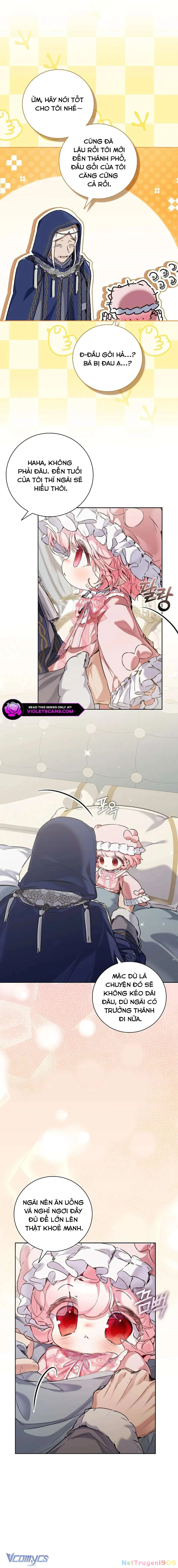 Papa Là Kẻ Thù Kiếp Trước Của Tôi? Chapter 53 - 2