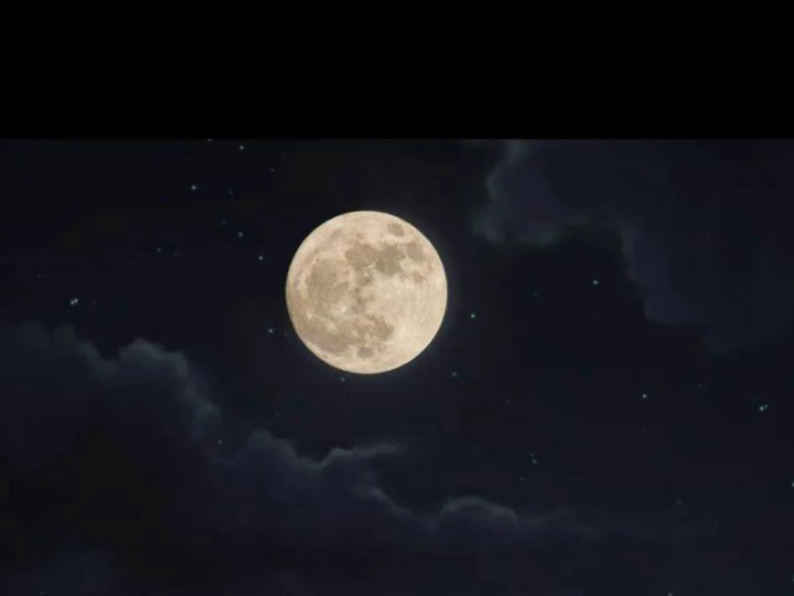 Sau Khi Đầu Thai, Ta Được Kẻ Thù Khắc Thành Vô Địch Chapter 17 - 55