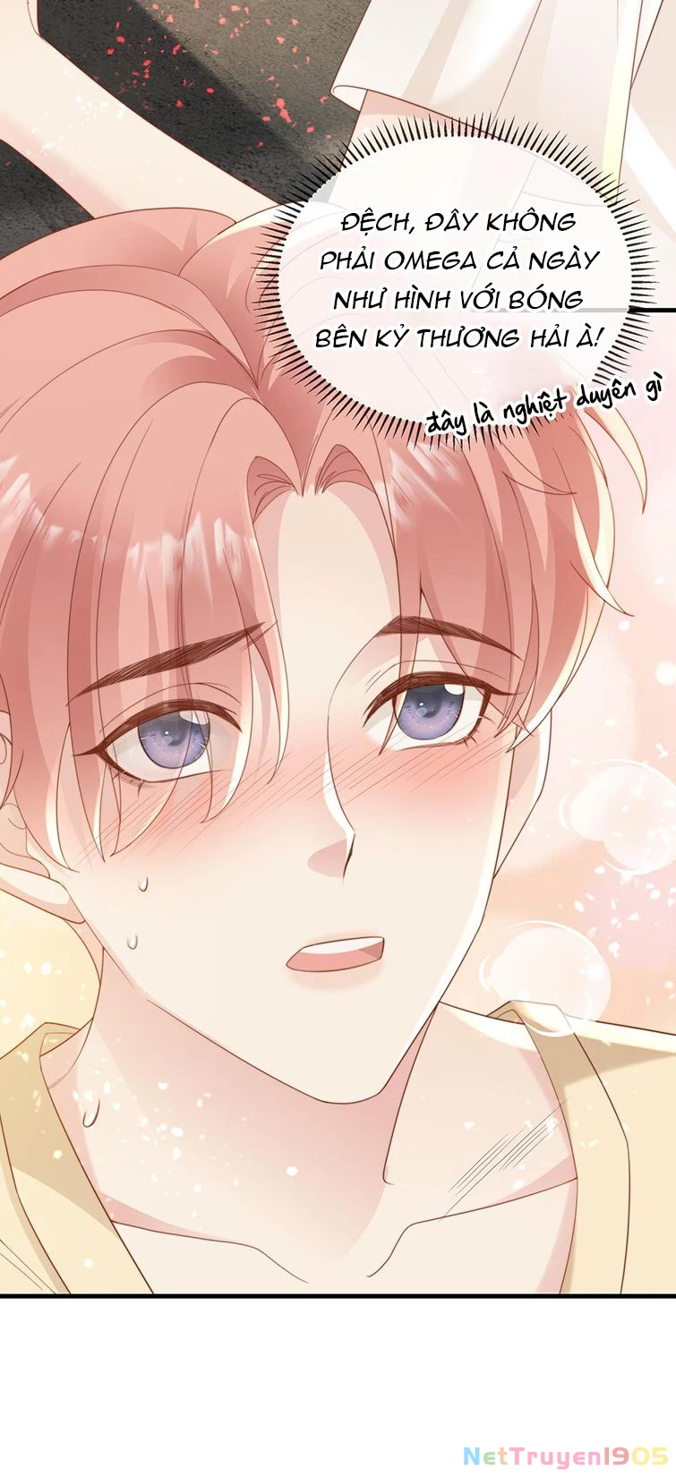 Sau Khi Giả Mất Trí Nhớ, Tình Địch Nói Tôi Là Bạn Trai Của Hắn Chapter 2 - 11