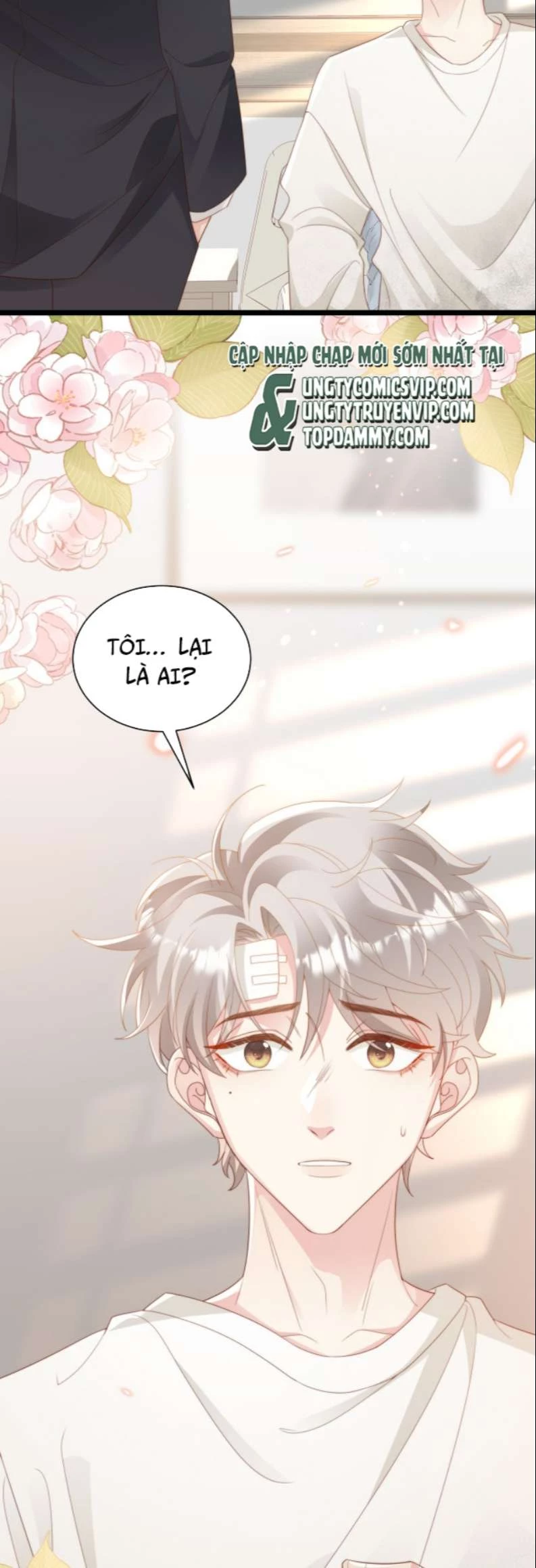 Sau Khi Giả Mất Trí Nhớ, Tình Địch Nói Tôi Là Bạn Trai Của Hắn Chapter 3 - 33