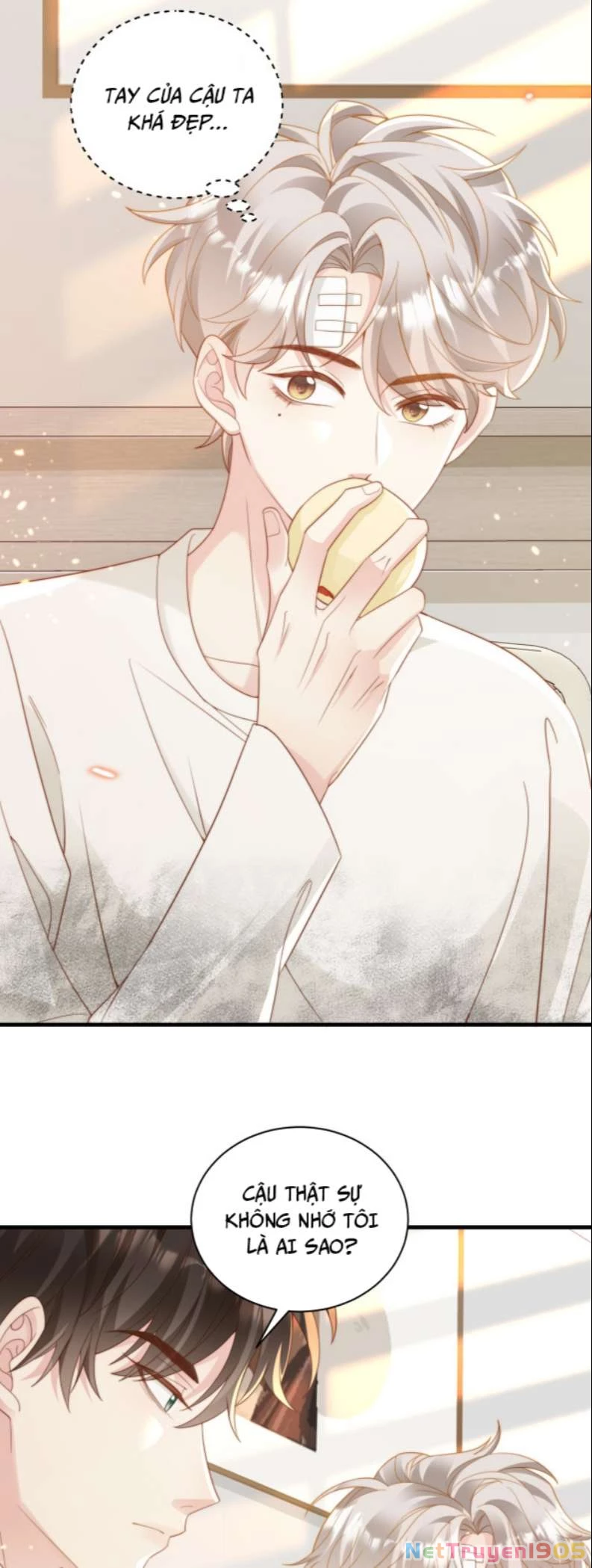 Sau Khi Giả Mất Trí Nhớ, Tình Địch Nói Tôi Là Bạn Trai Của Hắn Chapter 4 - 17