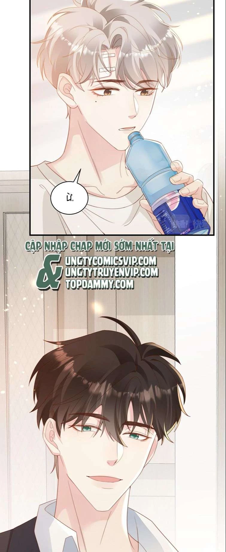 Sau Khi Giả Mất Trí Nhớ, Tình Địch Nói Tôi Là Bạn Trai Của Hắn Chapter 5 - 16