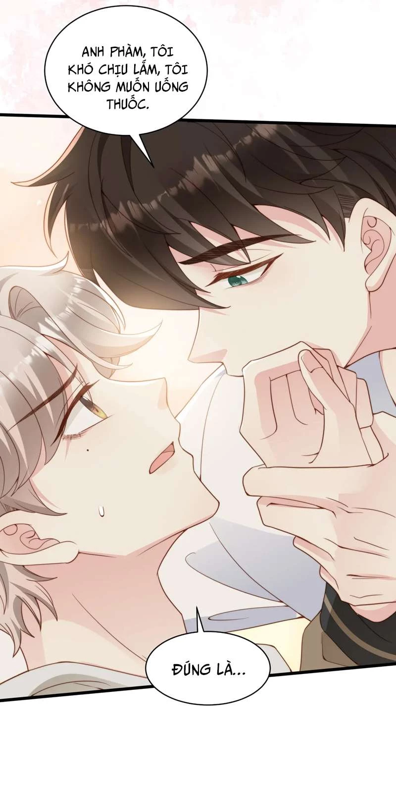 Sau Khi Giả Mất Trí Nhớ, Tình Địch Nói Tôi Là Bạn Trai Của Hắn Chapter 31 - 33