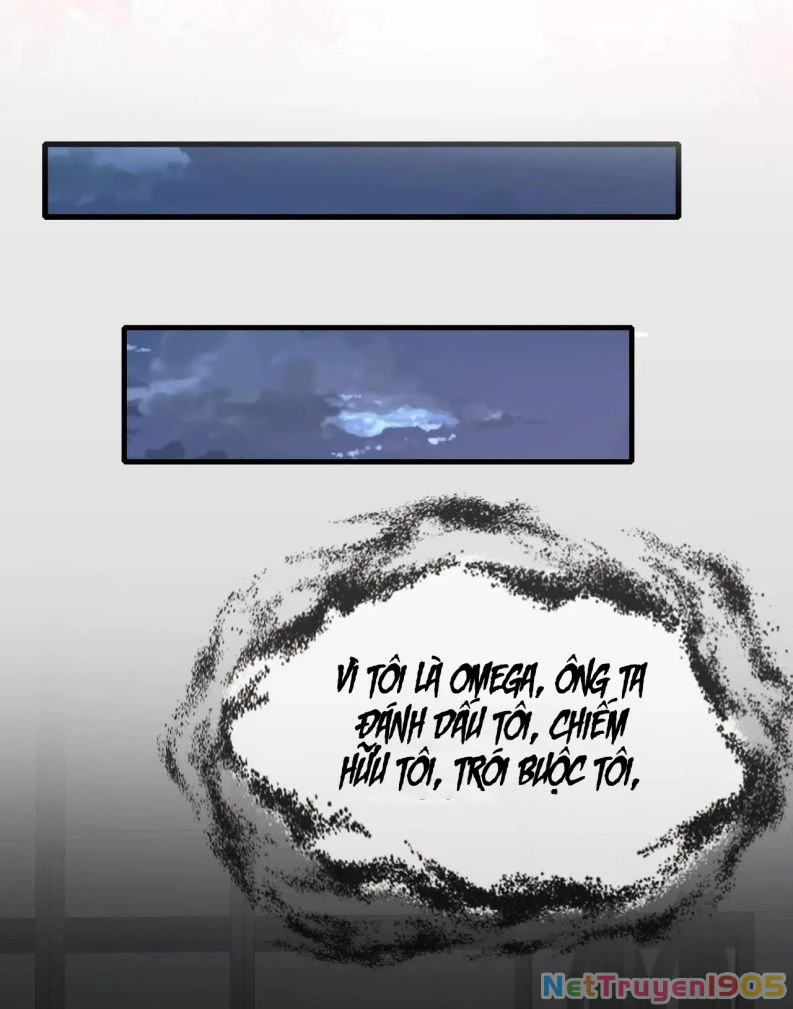 Sau Khi Giả Mất Trí Nhớ, Tình Địch Nói Tôi Là Bạn Trai Của Hắn Chapter 32 - 42