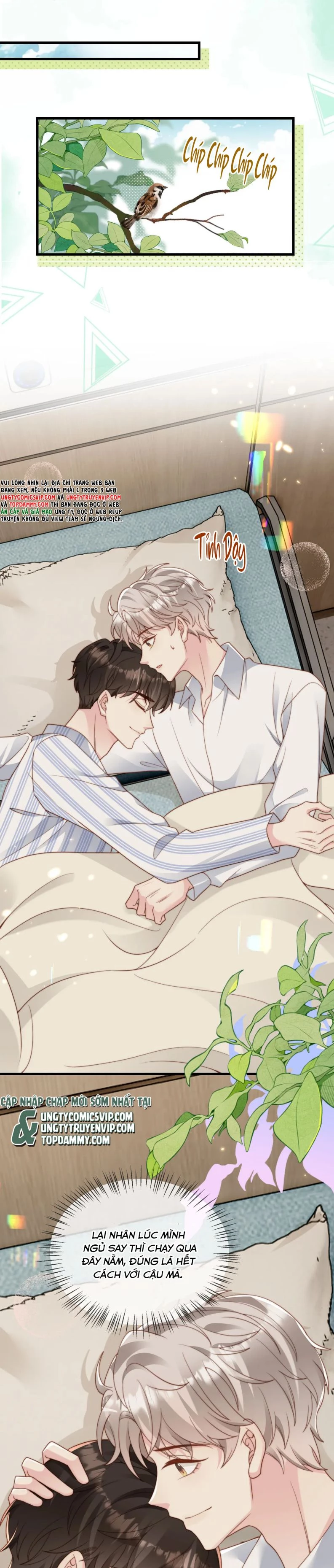 Sau Khi Giả Mất Trí Nhớ, Tình Địch Nói Tôi Là Bạn Trai Của Hắn Chapter 42 - 7