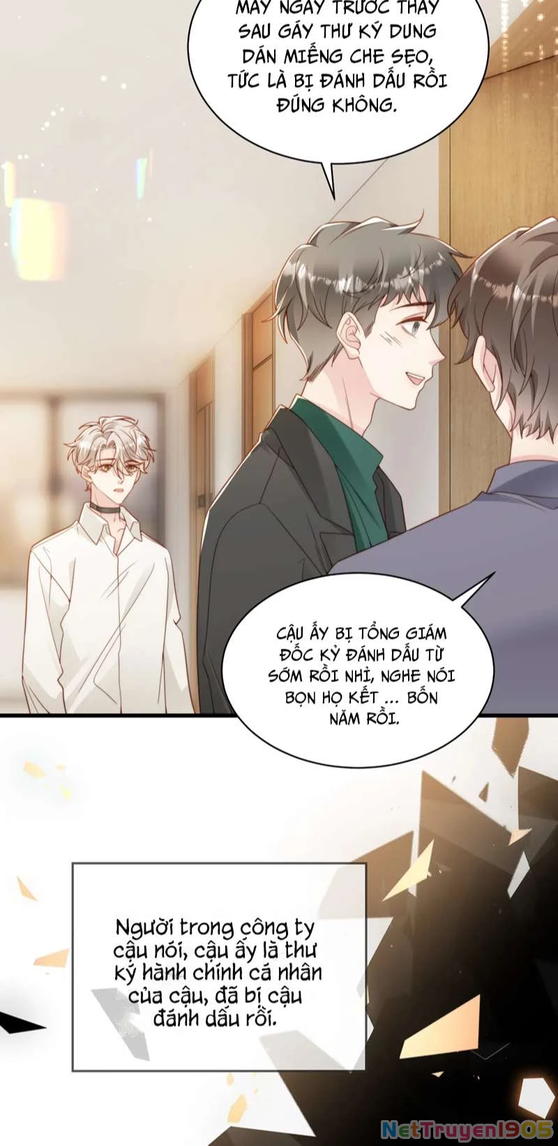 Sau Khi Giả Mất Trí Nhớ, Tình Địch Nói Tôi Là Bạn Trai Của Hắn Chapter 43 - 43