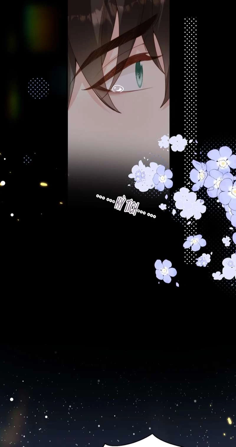 Sau Khi Giả Mất Trí Nhớ, Tình Địch Nói Tôi Là Bạn Trai Của Hắn Chapter 44 - 41