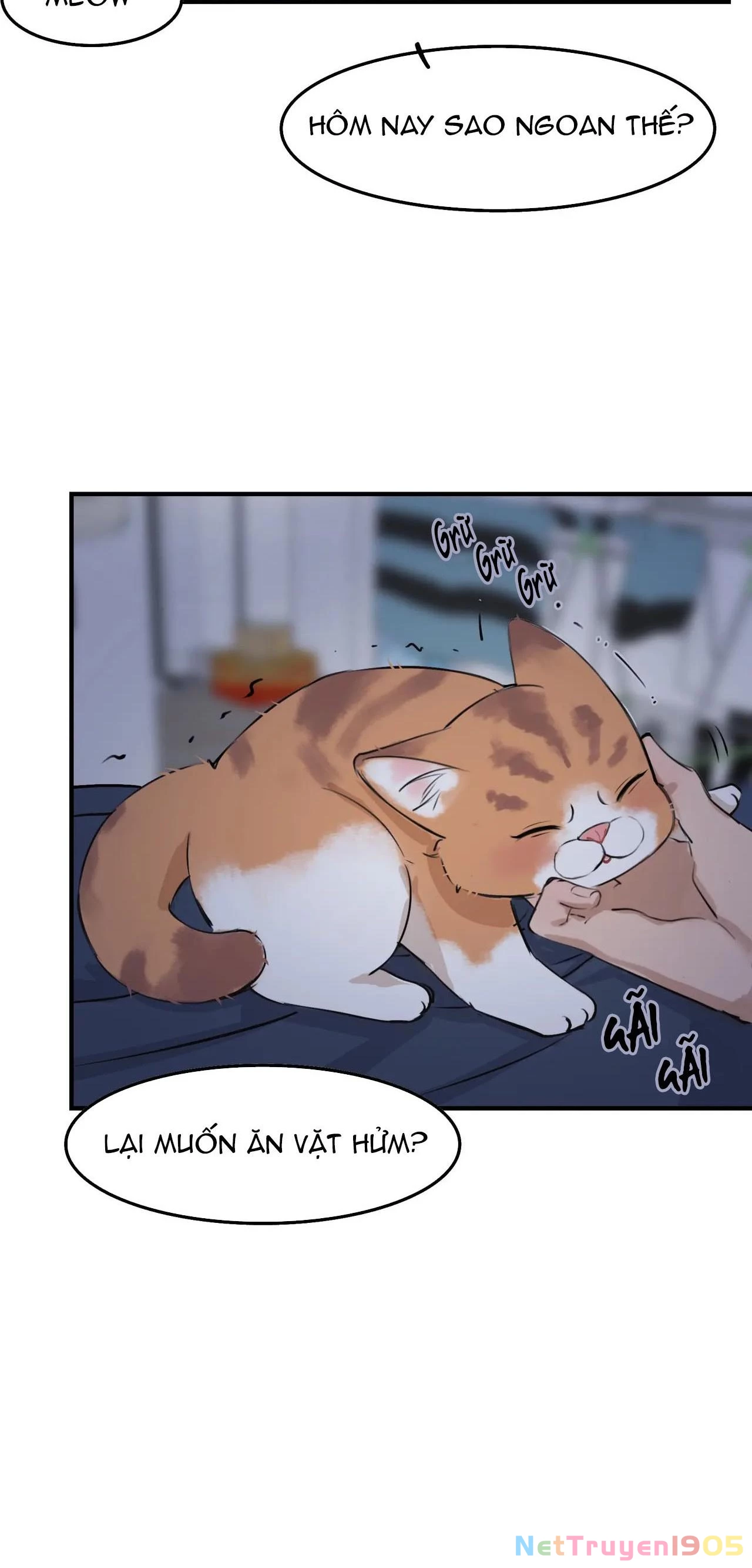 Rốt Cuộc Mèo Con Đang Nghĩ Gì Thế? Chapter 4 - 12