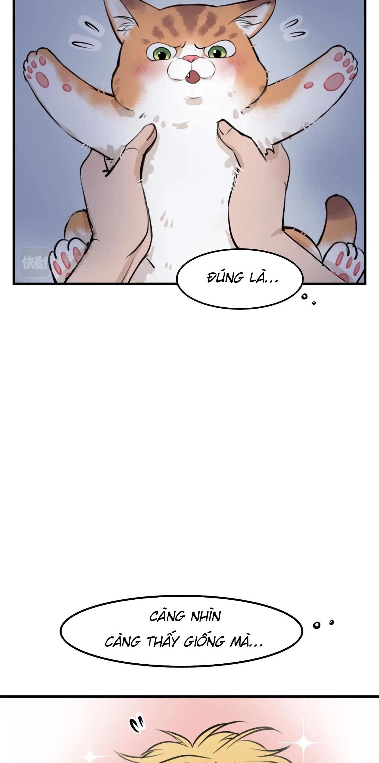 Rốt Cuộc Mèo Con Đang Nghĩ Gì Thế? Chapter 4 - 15