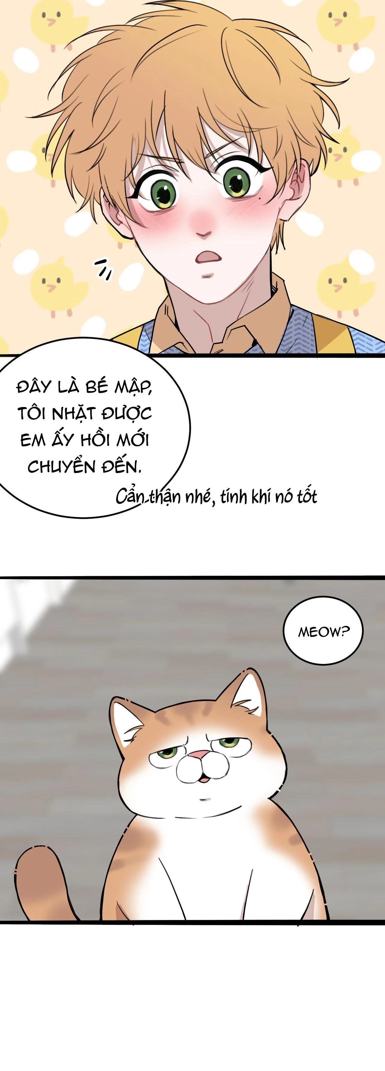 Rốt Cuộc Mèo Con Đang Nghĩ Gì Thế? Chapter 11 - 5