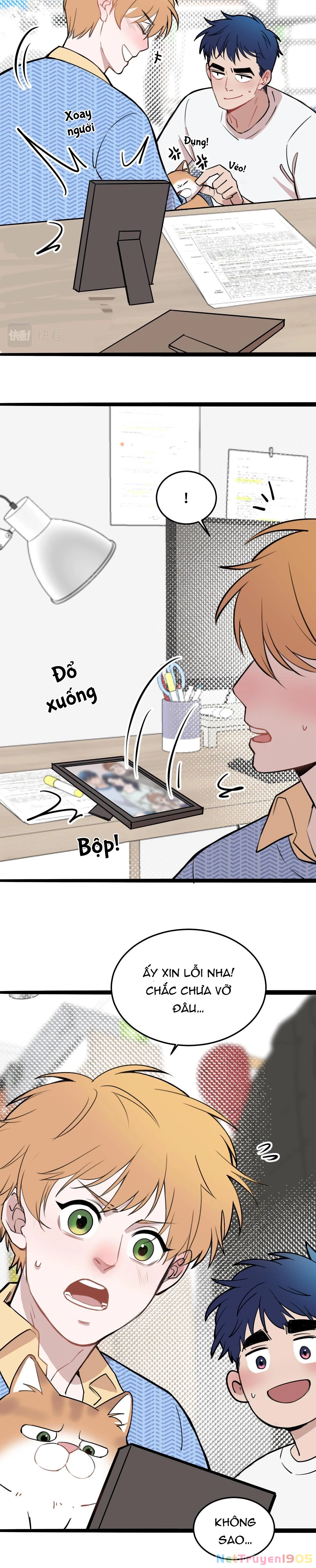 Rốt Cuộc Mèo Con Đang Nghĩ Gì Thế? Chapter 11 - 9