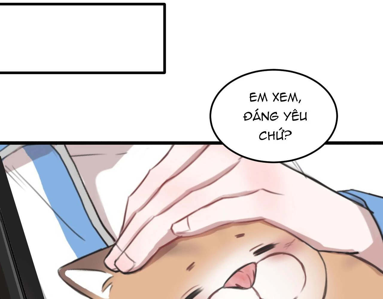 Rốt Cuộc Mèo Con Đang Nghĩ Gì Thế? Chapter 16 - 47