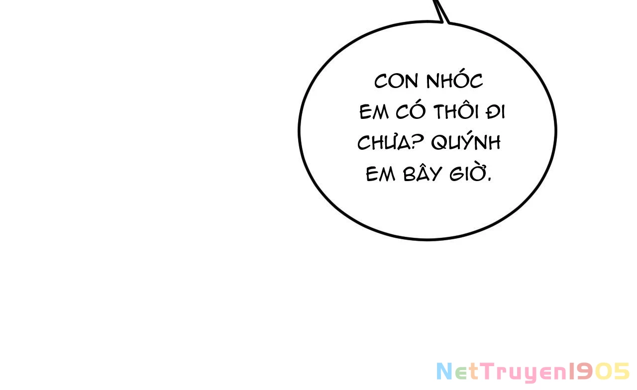 Rốt Cuộc Mèo Con Đang Nghĩ Gì Thế? Chapter 16 - 63