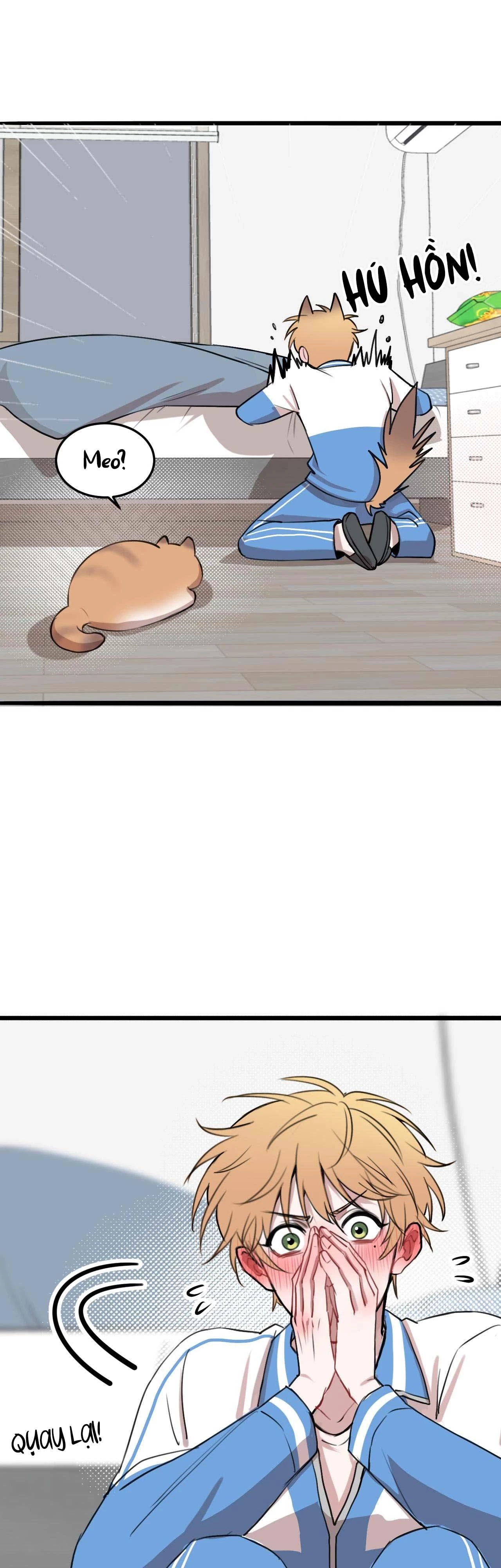 Rốt Cuộc Mèo Con Đang Nghĩ Gì Thế? Chapter 17 - 28