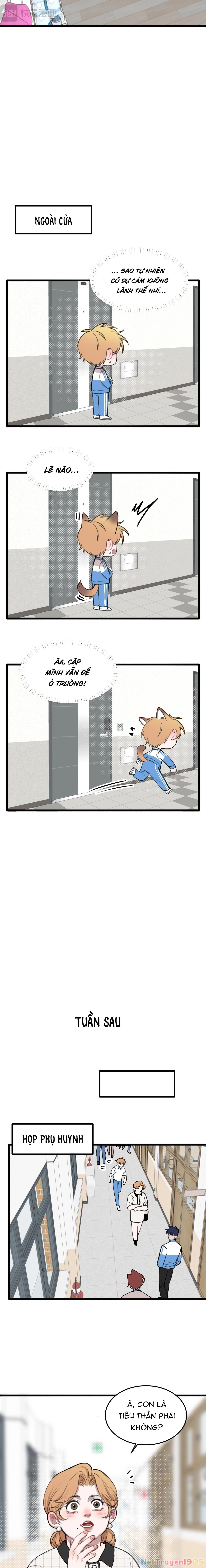 Rốt Cuộc Mèo Con Đang Nghĩ Gì Thế? Chapter 18 - 5