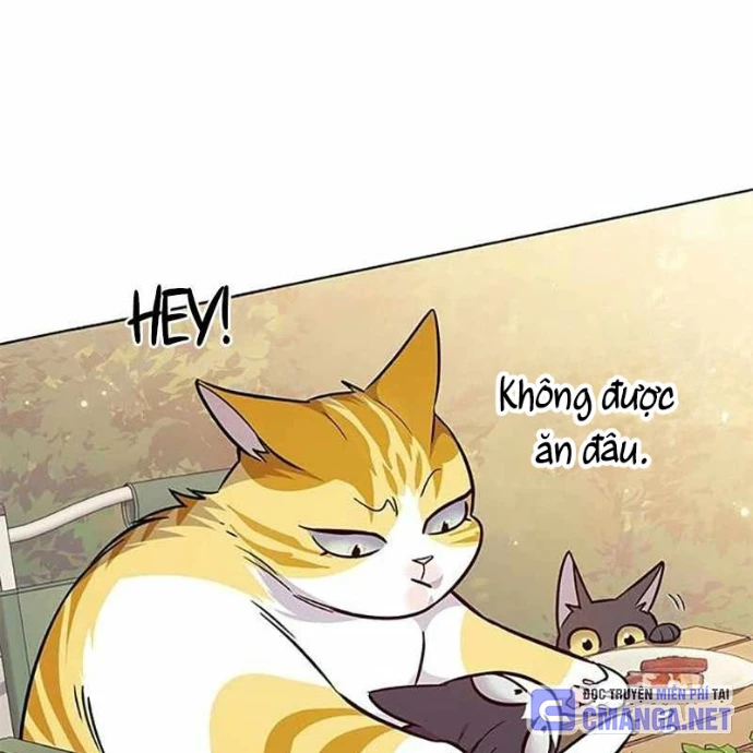 Hoá Thân Thành Mèo Chapter 366 - 123
