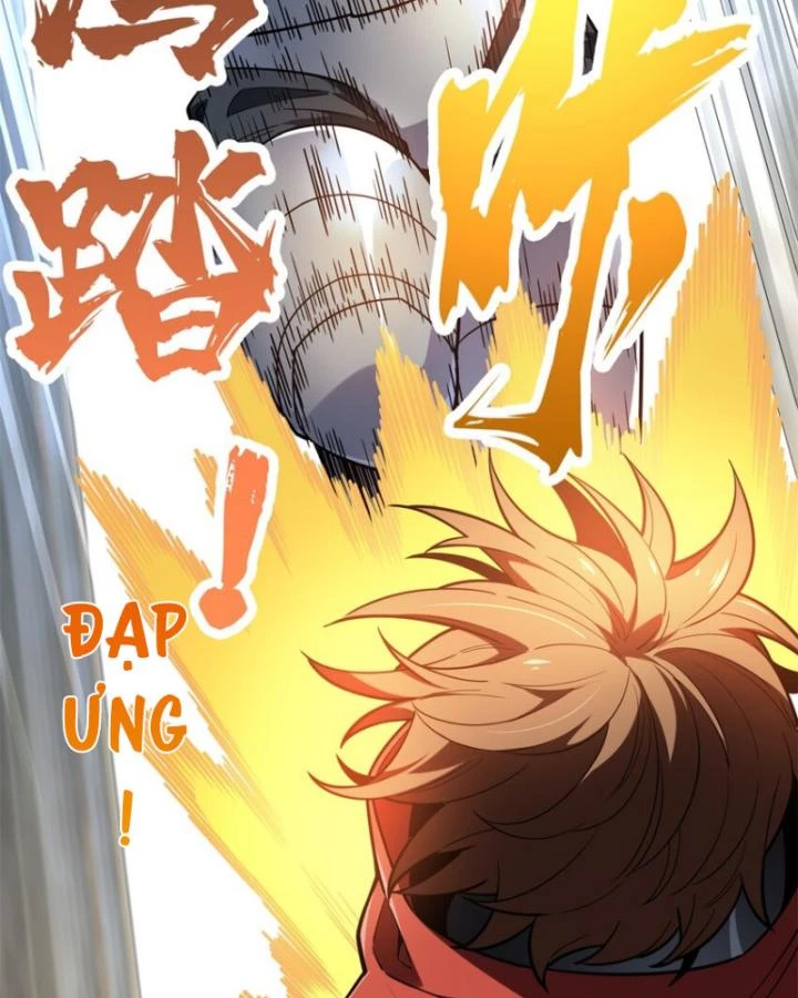 Toàn Chức Cao Thủ Chapter 103 - 70