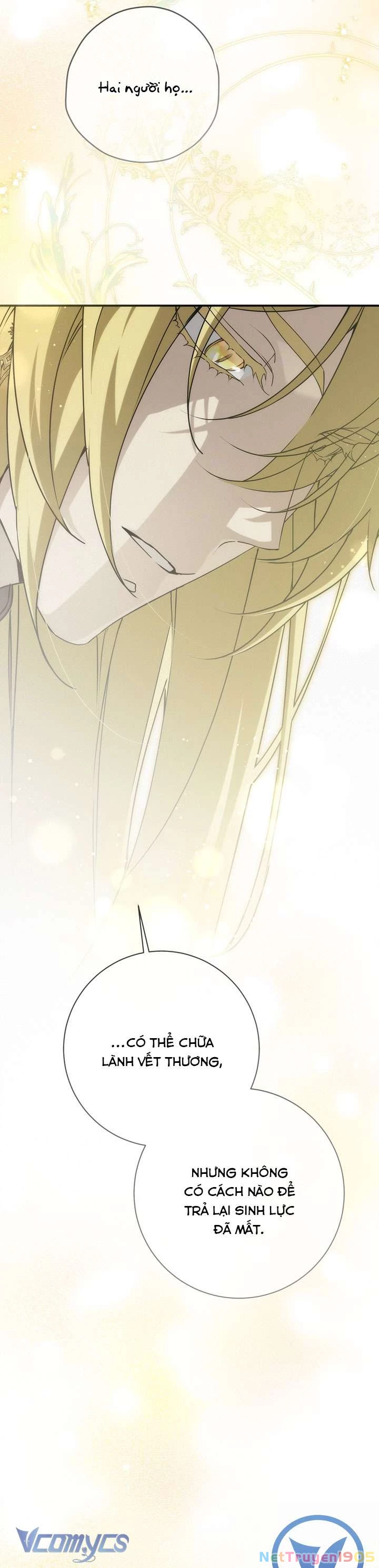 Lần Nữa Toả Sáng Chapter 114 - 22